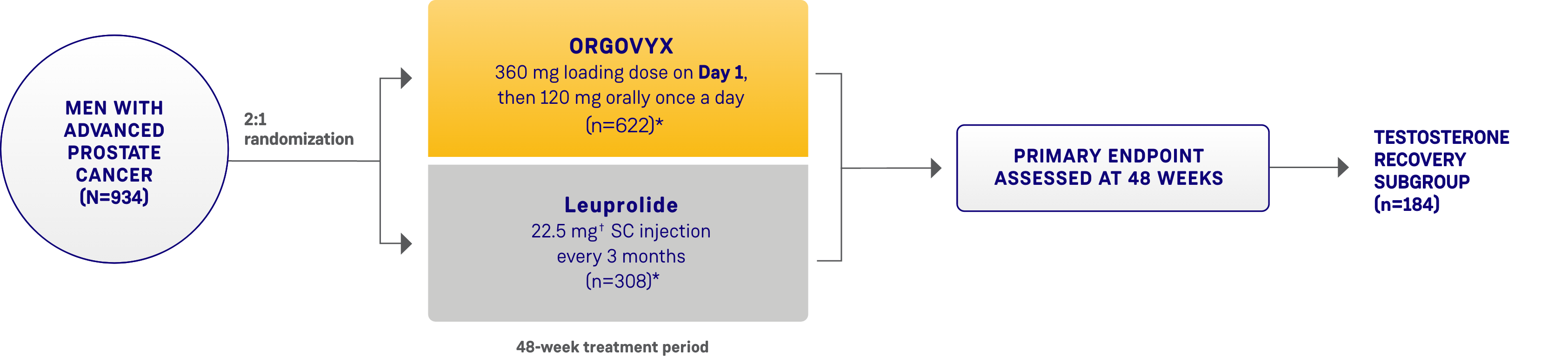 Schematic design of the HERO study evaluating ORGOVYX and leuprolide